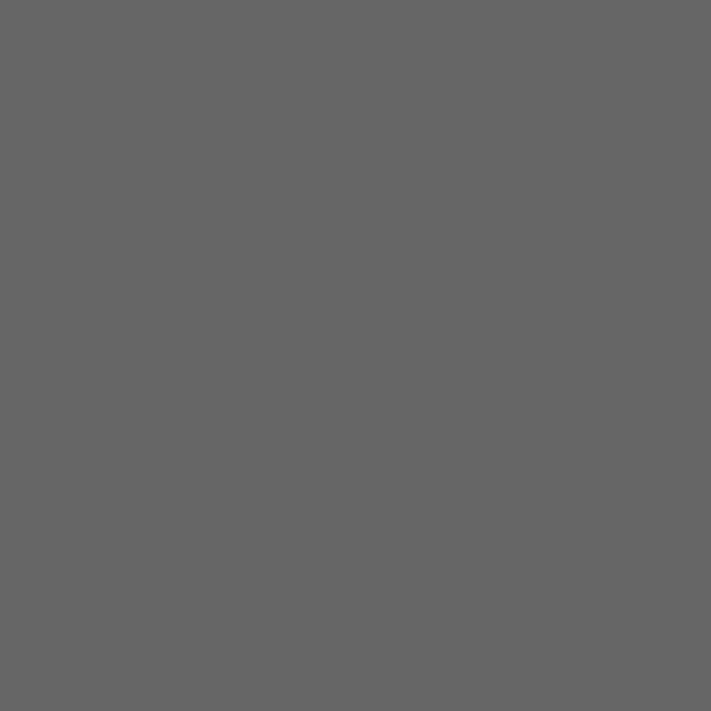 Placeholder #666666